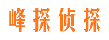 邗江市侦探公司